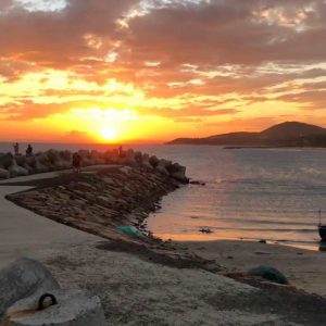 tour nha trang tet
