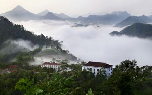 Kinh nghiệm du lịch vườn quốc gia Xuân Sơn cần thiết nhất