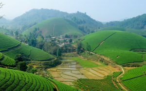 Du lịch Mai Châu nên đi mùa nào là đẹp nhất trong năm?