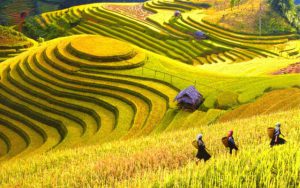 Chia sẻ kinh nghiệm du lịch Hà Giang mùa thu từ A - Z dành cho bạn