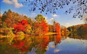 Tham khảo kinh nghiệm du lịch Thổ Nhĩ Kỳ mùa thu cực hữu ích cho bạn