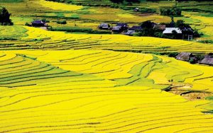 Kinh nghiệm du lịch Điện Biên mùa thu cùng những điểm đến hấp dẫn