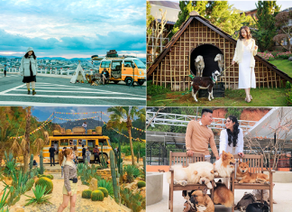 Mua tour Đà Lạt du lịch tết Quý Mão xứ sở tình yêu…