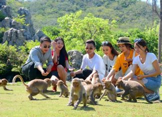 Du lịch Nha Trang đến với đảo Khỉ với những trải nghiệm mới lạ Du lịch Nha Trang đến với đảo Khỉ với những trải nghiệm mới lạ