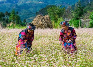 Trải nghiệm chuyến du lịch Hà Giang tự túc tiết kiệm nhất Trải nghiệm chuyến du lịch Hà Giang tự túc tiết kiệm nhất