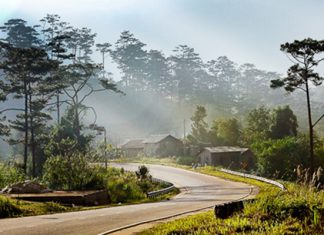 Du lịch Đà Lạt mùa hè tự túc có điều gì thú vị hấp dẫn du khách