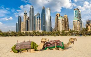 Tour du lịch Dubai giá bao nhiêu tiền? Các khoản chi phí cần thiết