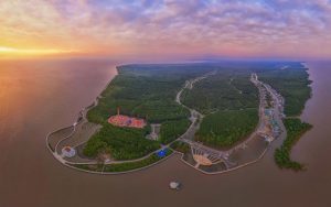 Review kinh nghiệm du lịch Cà Mau 2023 tất tần tật từ A - Z