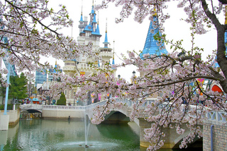 Thủ tục xin visa Hàn Quốc