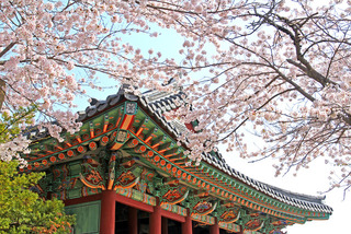 Đối tượng được cấp visa 5 năm Hàn Quốc