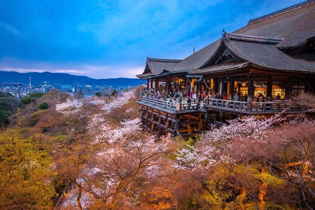 Miễn visa Hàn Quốc khi du lịch Jeju