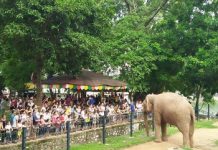 Công viên Thủ Lệ là điểm đến hấp dẫn khi du lịch Hà Nội 2/9