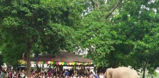 Công viên Thủ Lệ là điểm đến hấp dẫn khi du lịch Hà Nội 2/9