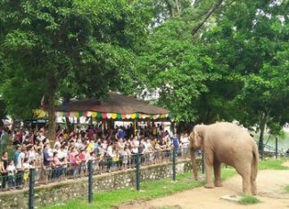 Công viên Thủ Lệ là điểm đến hấp dẫn khi du lịch Hà Nội 2/9