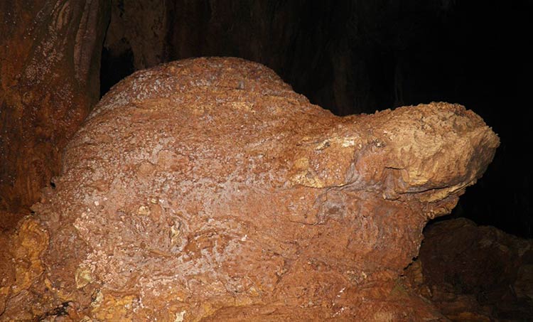 Hình ảnh Rùa Vàng trong động Kim Quy