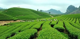 Du lịch Tết Âm lịch nên chọn đi những đâu?