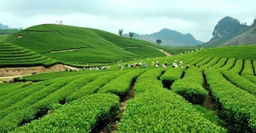 Du lịch Tết Âm lịch nên chọn đi những đâu?