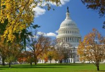 Washington D.C. mùa thu với cây cối chuyển màu rực rỡ