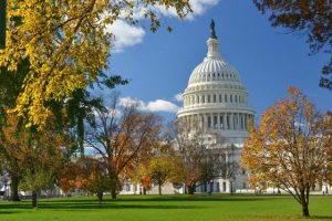 Washington D.C. mùa thu với cây cối chuyển màu rực rỡ