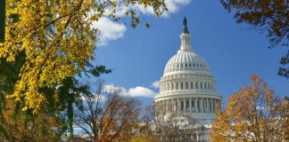 Washington D.C. mùa thu với cây cối chuyển màu rực rỡ