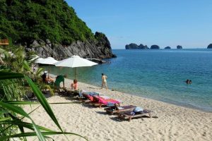 Hoà mình vào làn nước trong xanh mát lạnh