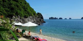 Hoà mình vào làn nước trong xanh mát lạnh