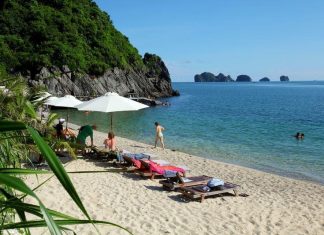 Khám phá hòn đảo Cát Bà có gì thú vị ai cũng thích khi đi du lịch Hạ Long Hoà mình vào làn nước trong xanh mát lạnh