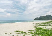 Vẻ đẹp tự nhiên xinh đẹp trên bãi biển Ngọc Vừng