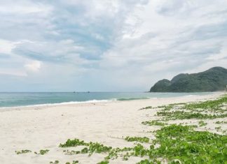 Vẻ đẹp tự nhiên xinh đẹp trên bãi biển Ngọc Vừng