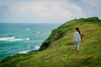 Toàn cảnh Bãi Xép Phú Yên nhìn từ trên cao với bãi cát vàng, biển xanh và những khối đá đen đặc trưng.