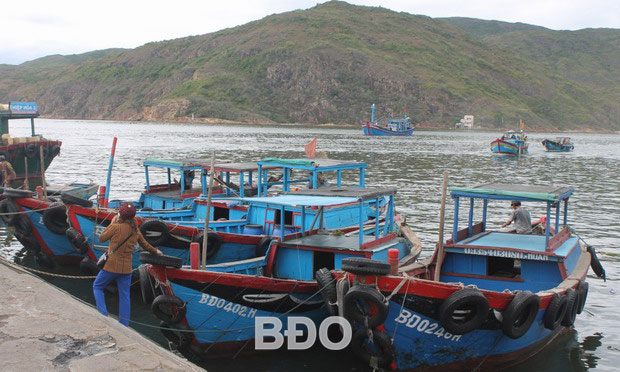 Bến Hàm Tử - Quy Nhơn, nơi khởi hành đến Cù Lao Xanh