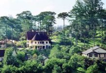 Những ngôi biệt thự xinh xắn dưới các cánh rừng thông