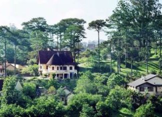 Những ngôi biệt thự xinh xắn dưới các cánh rừng thông