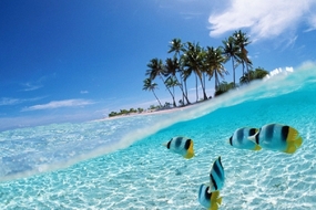 Du lịch Malaysia – khám phá vẻ đẹp bờ đông bán đảo Malaysia