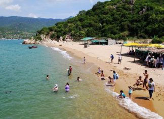 Bãi biển Ninh Chữ với bờ cát trắng và hàng dừa xanh