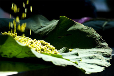 Tinh túy Hà Thành được gói gọn trong từng hạt cốm mềm thơm