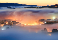 Đà Lạt huyền ảo trong làn sương mù buổi sáng tinh mơ