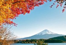Cảnh quan núi Phú Sĩ vào mùa thu với những tán lá đỏ rực rỡ dưới chân núi