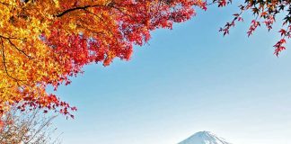 Cảnh quan n&uacute;i Ph&uacute; Sĩ v&agrave;o m&ugrave;a thu với những t&aacute;n l&aacute; đỏ rực rỡ dưới ch&acirc;n n&uacute;i
