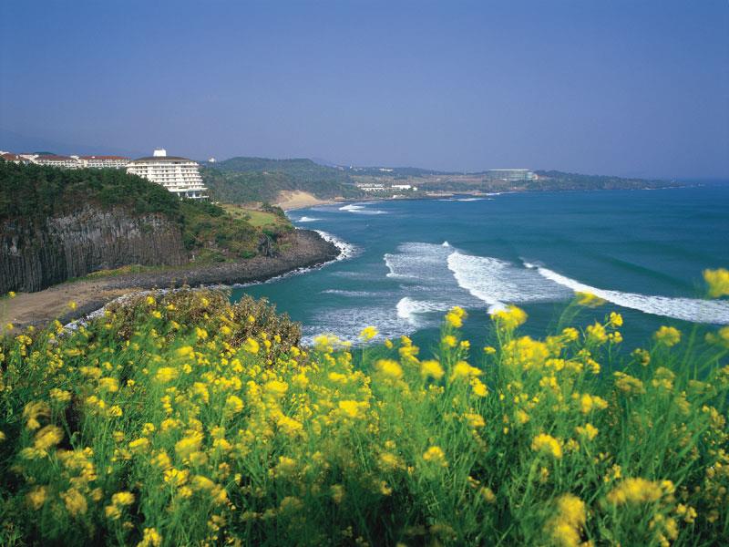 Đảo Jeju – Thiên đường dưới mặt đất, đẹp quên cả lối về của Châu Á