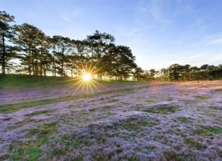 Khung cảnh Đà Lạt lúc sáng sớm