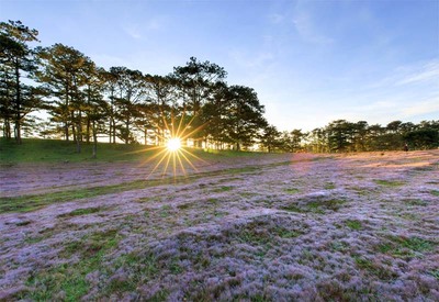 Khung cảnh Đà Lạt lúc sáng sớm