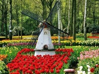 Du lịch Bỉ mùa xuân