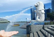 Toàn cảnh thành phố Singapore với những tòa nhà chọc trời và cây xanh