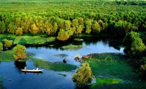 Phong cảnh sông nước An Giang