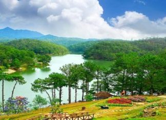 Toàn cảnh thành phố Đà Lạt từ trên cao với những biệt thự ẩn mình trong rừng thông