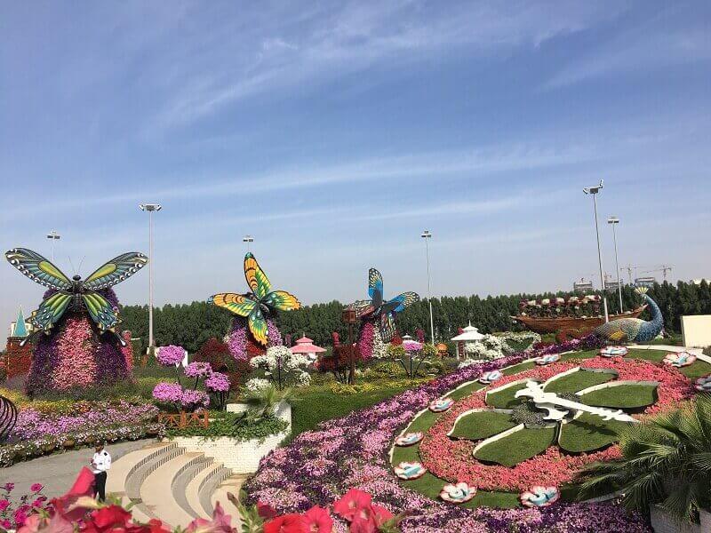 Các cây hoa được trồng theo hình trái tim, lều tuyết, kim tự tháp và nhiều hình thù độc đáo khác