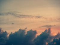 Cảnh bình minh mờ ảo trong sương sớm ở Hà Lan