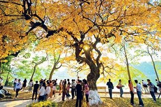Du lịch Hà Nội mùa thu Khung cảnh lãng mạn của Hà Nội mùa thu