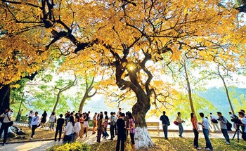 Khung cảnh lãng mạn của Hà Nội mùa thu